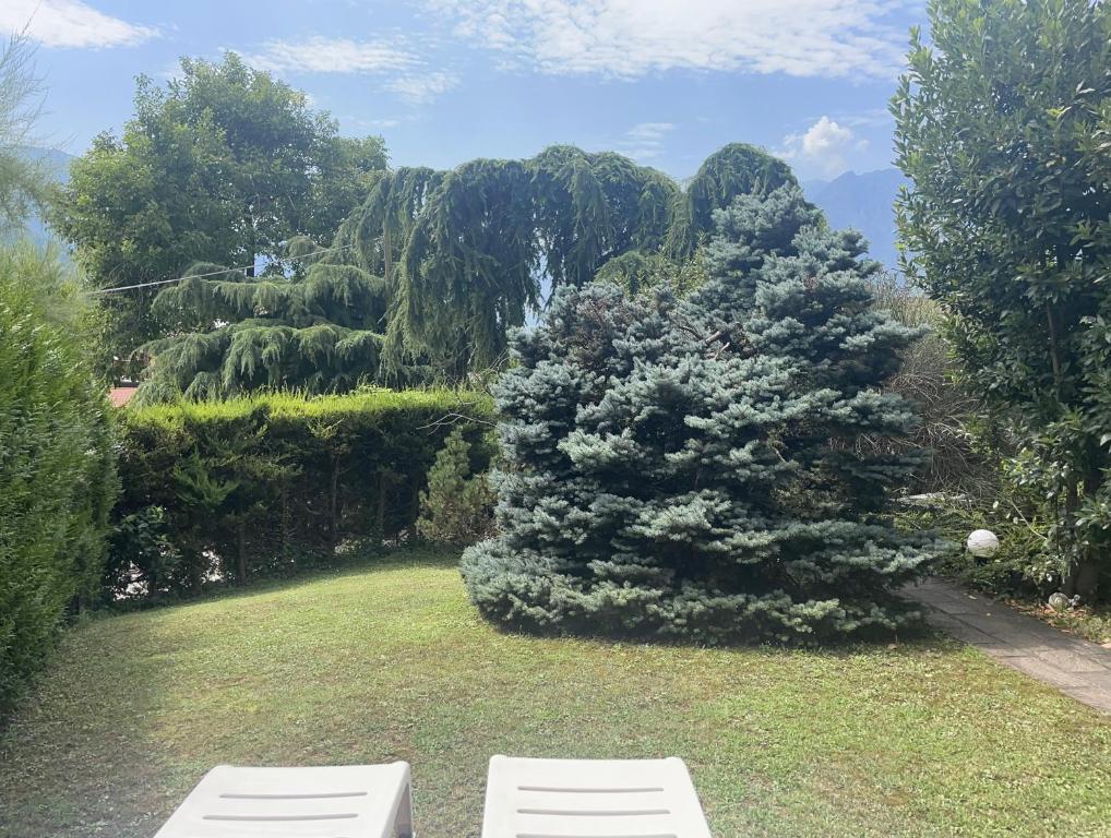 Villa Natura appartamento Open Space con giardino - 4