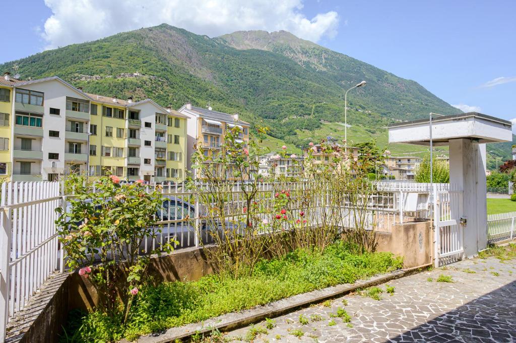 Casa dei Pini - 4