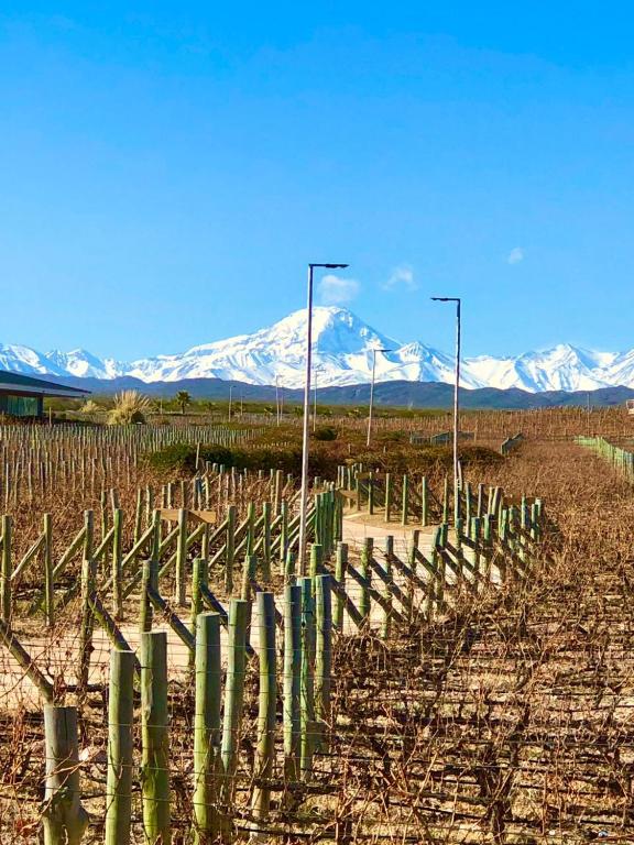 Villas Del Malbec Lodges - 2