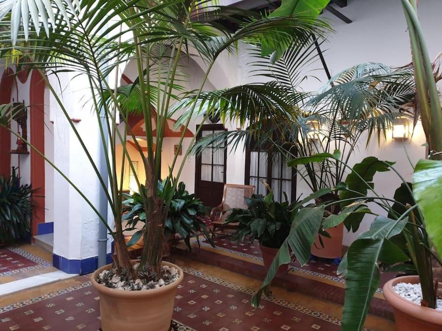 Typical Andalusian House s XVII - 3