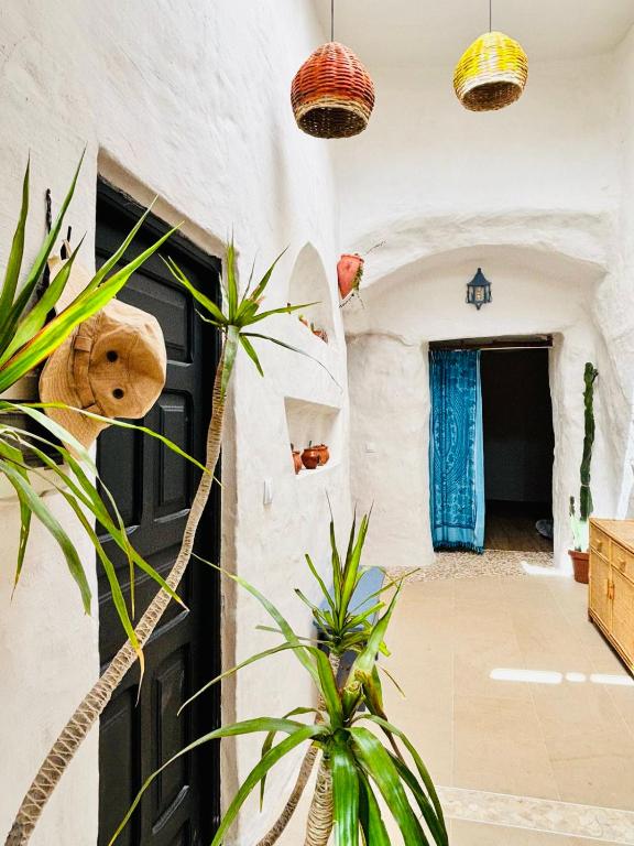 Cueva Las Nubes, Ingenio