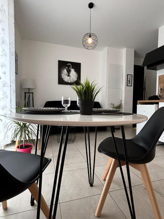 Appartement calme,lumineux ,hyper centre TOURS - 3