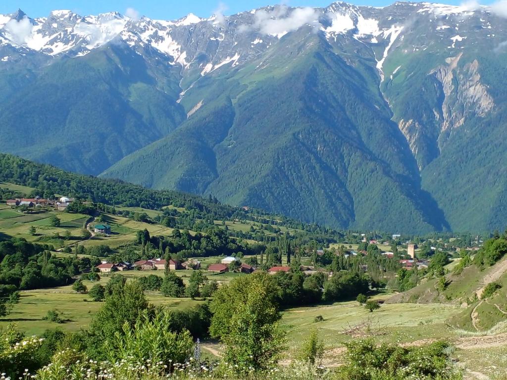 Guest house gegi aprasidze, Soli