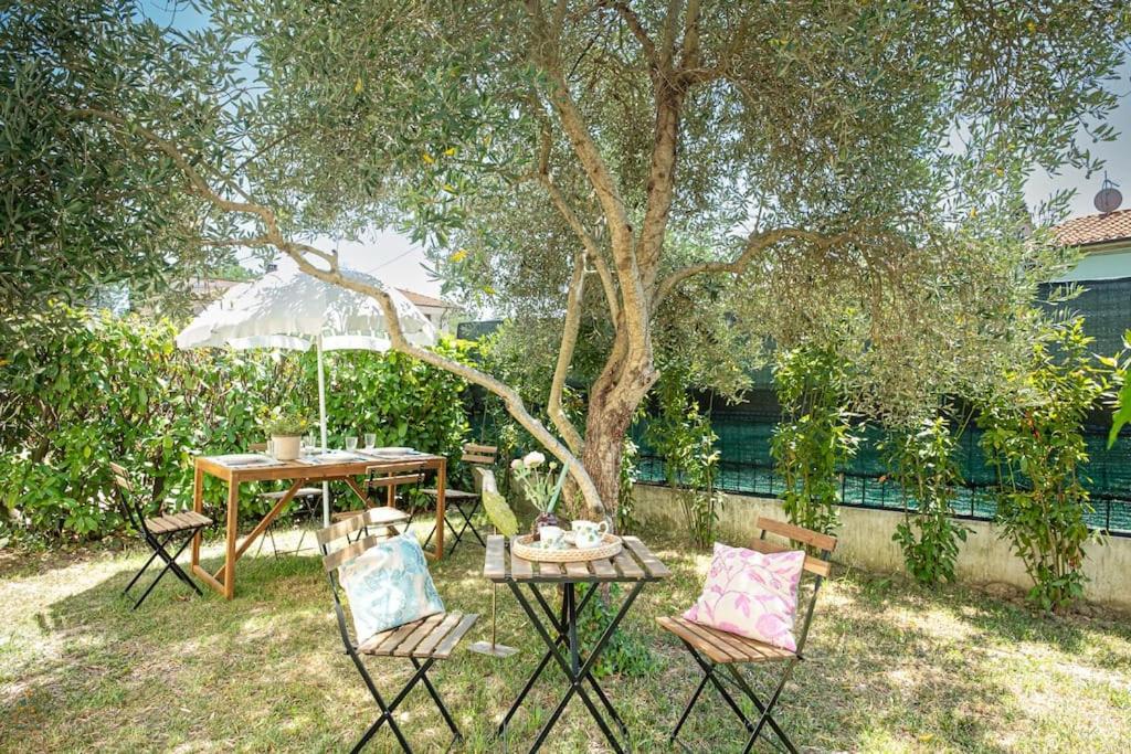 Fantastic Garden in a Trendy Apt with TANK Pool - 4