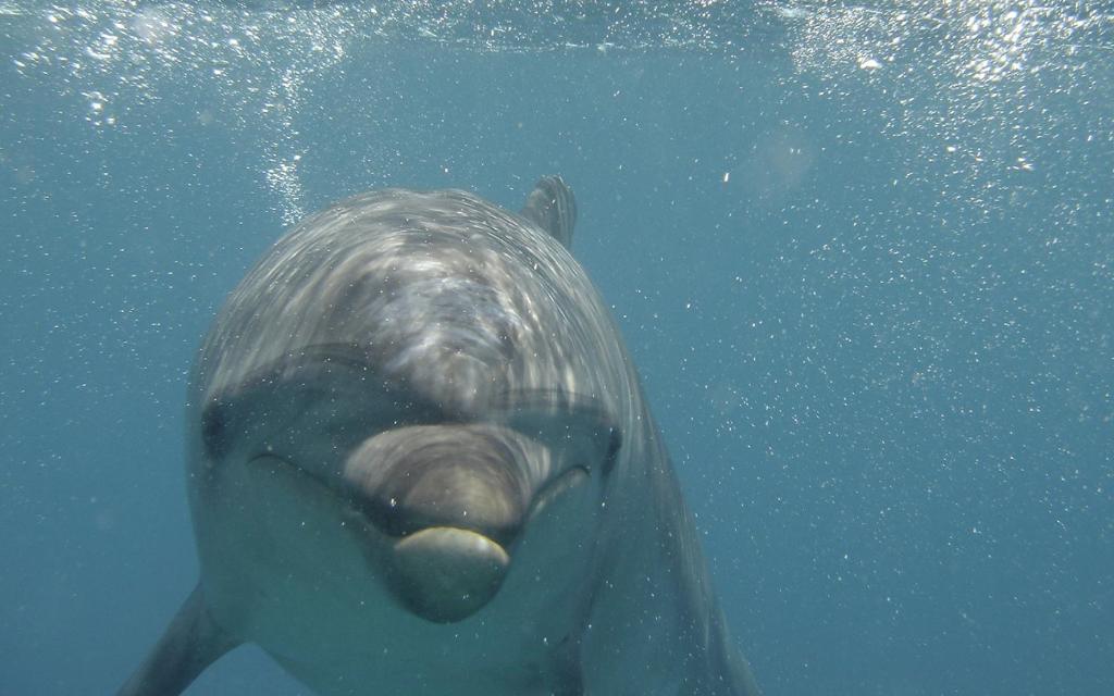 スポーツ/アクティビティ