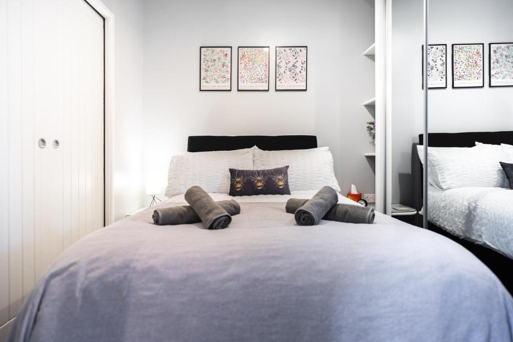 The Little Cygnet, Shrewsbury