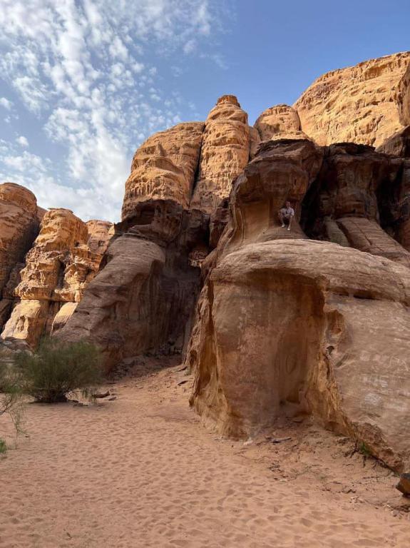 Surrounding environment