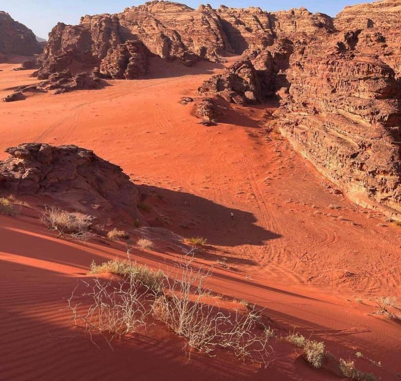 Surrounding environment