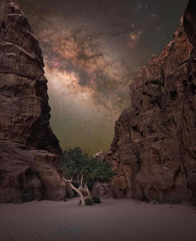 Surrounding environment