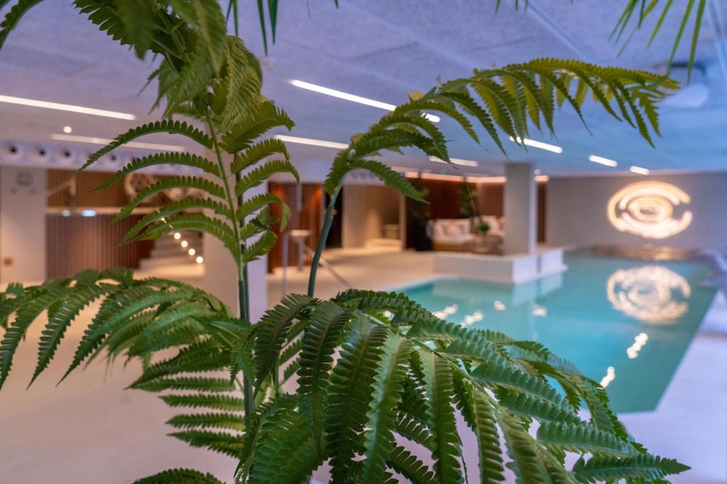 spa