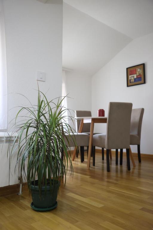 Ego apartmanii, Ćuprija