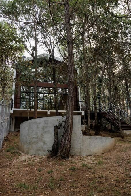 Lujosa casa en el Bosque cerca de la ciudad - 2