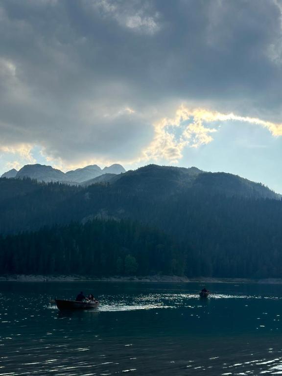 Premium Apartments - 4