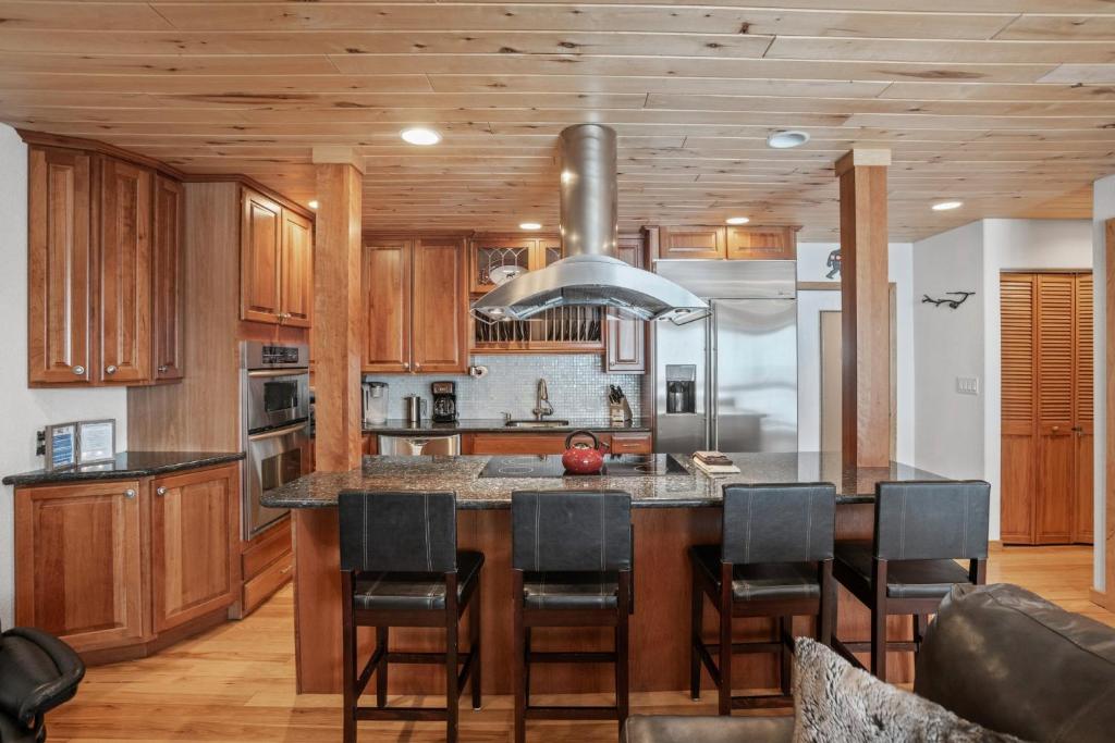 Ski In, Ski Out, Steam Shower in Unit, Outdoor Hot Tub, Steamboat Springs