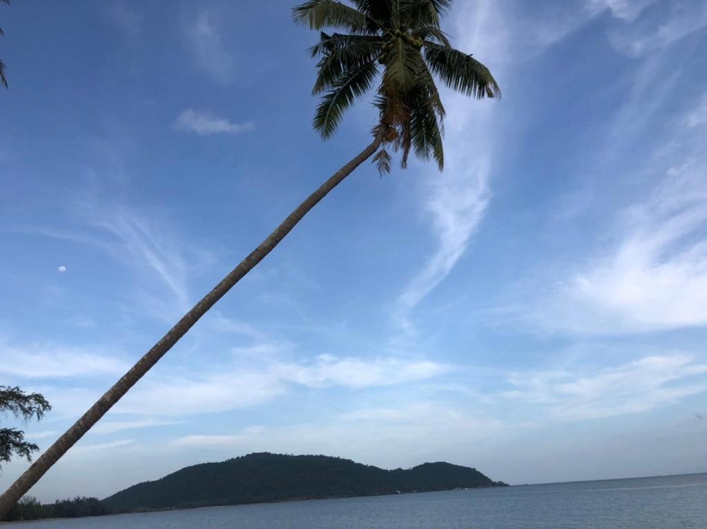 Surrounding environment