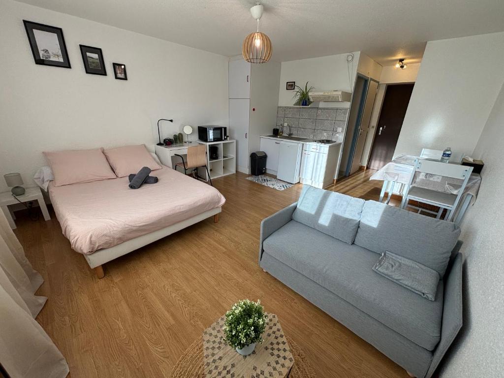 Coeur de Perros-Guirec - Studio - 5