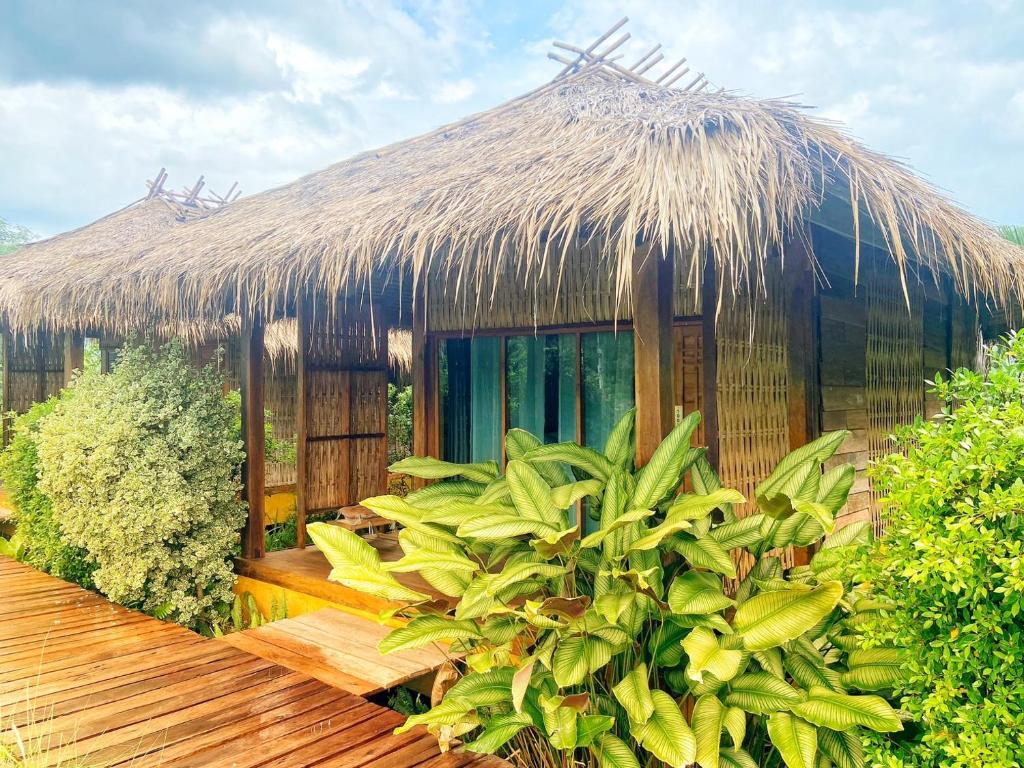 Natu Hut Farm Stay & Cafe' | Chiang Mai