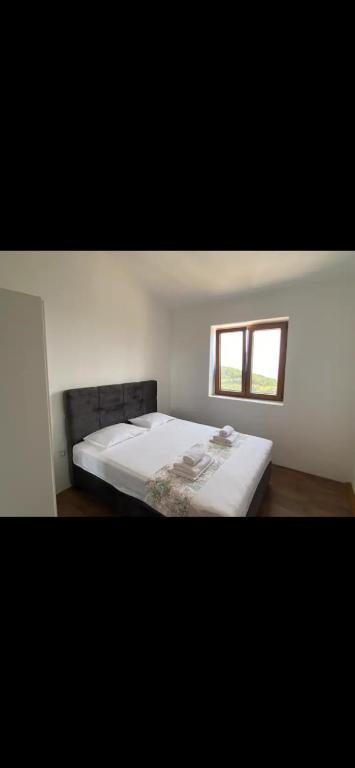 Villa Sofija - 5