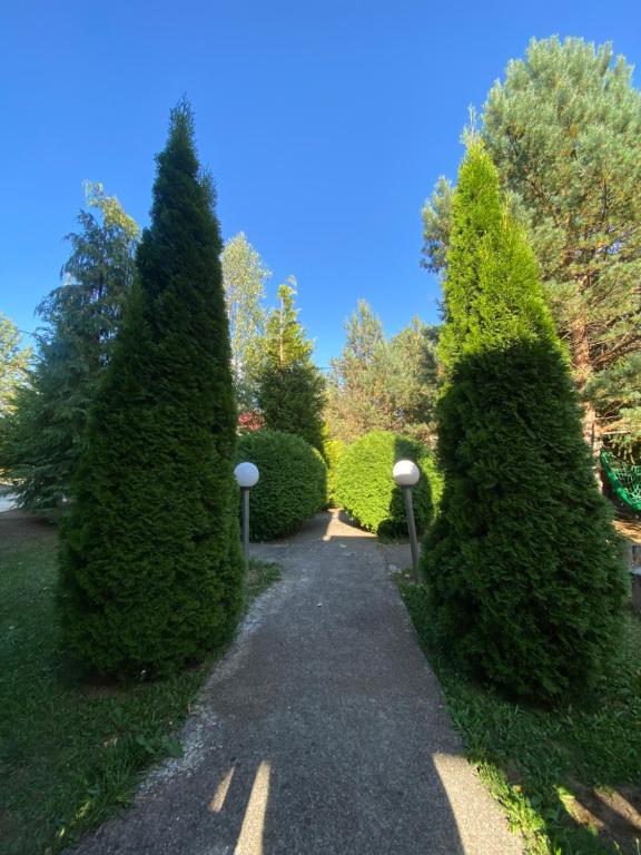 Apartmani MiM - 5