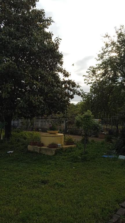 Casina Maria - 4