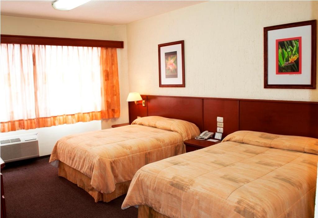 Hotel Marcella Clase Ejecutiva photo