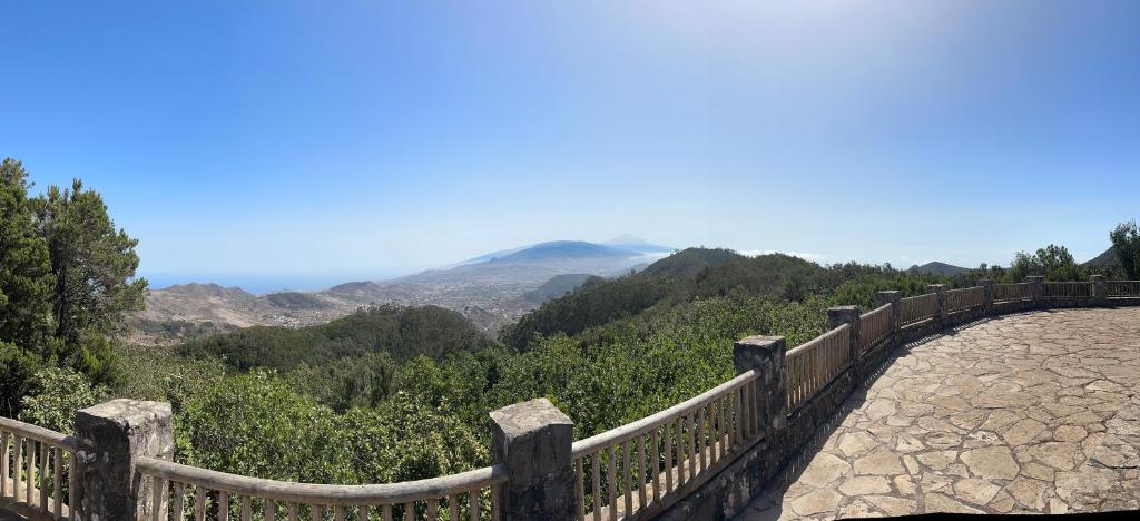 Los Cactus - 2