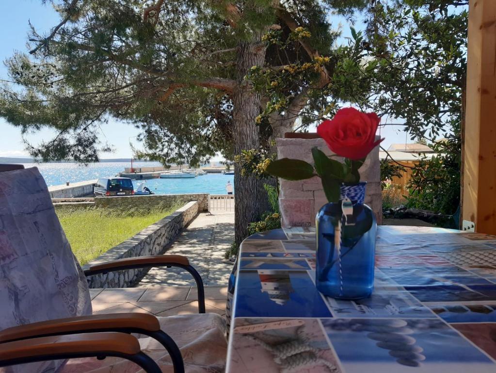 House ViEn, Nerezine