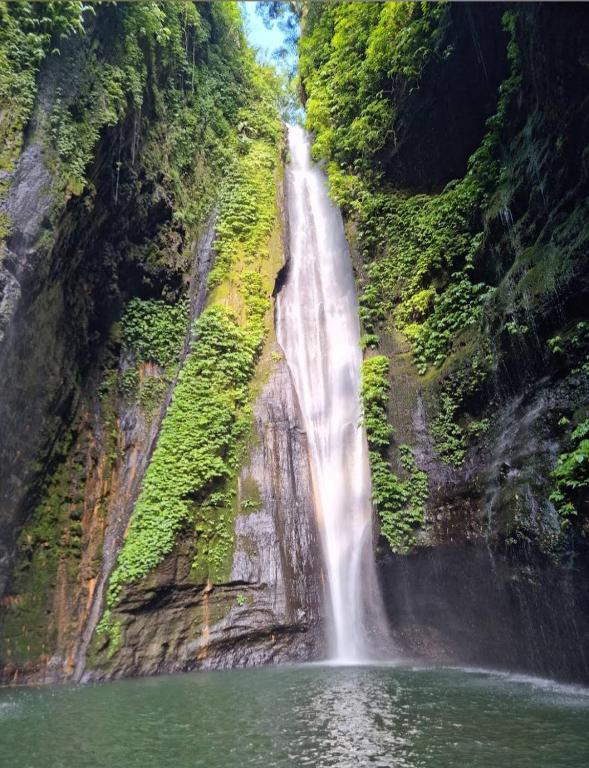 Jepun Homestay Lemukih