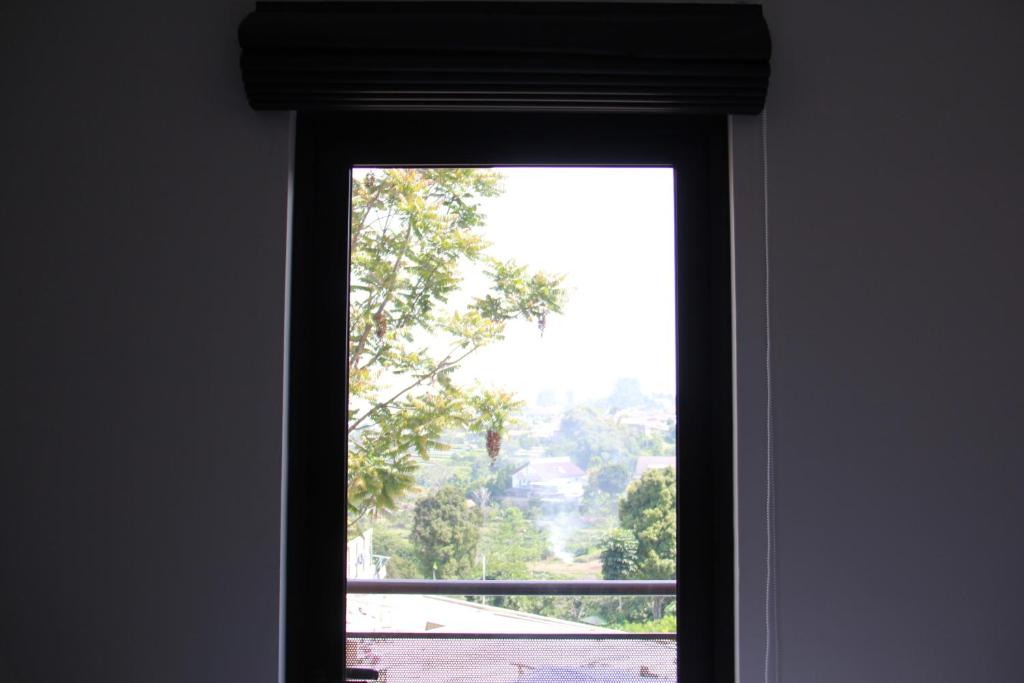 Surrounding environment