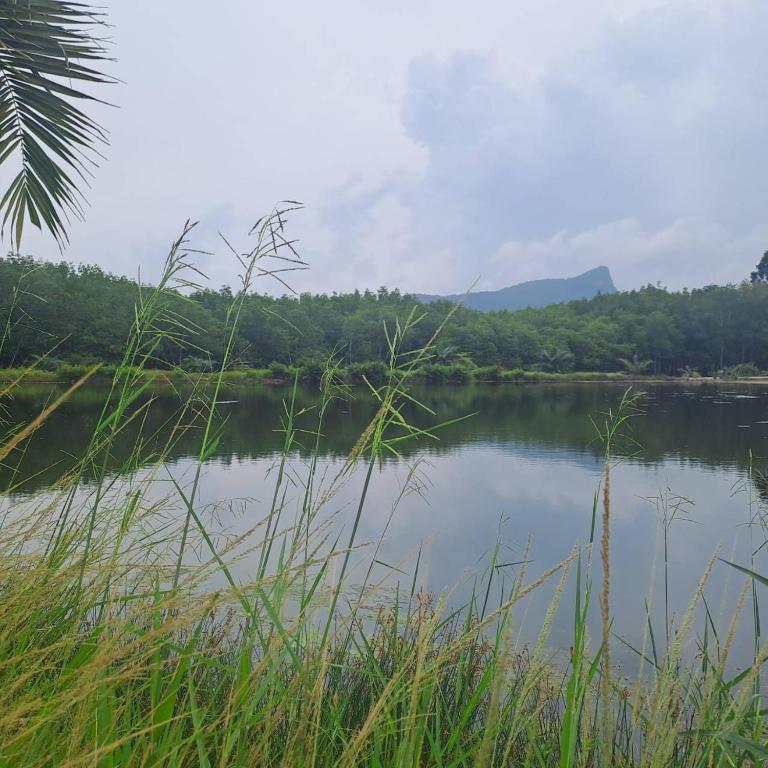 Recreational facilities