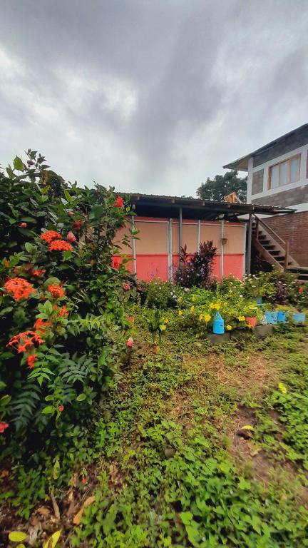 Hospedaje Bananas, Altagracia