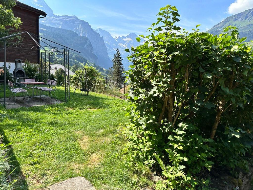 Chalet Luegistal - 5