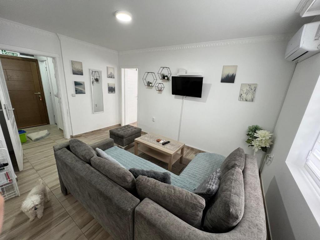 Apartman LOKI - 4