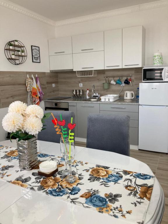 Apartman LOKI, Soko Banja