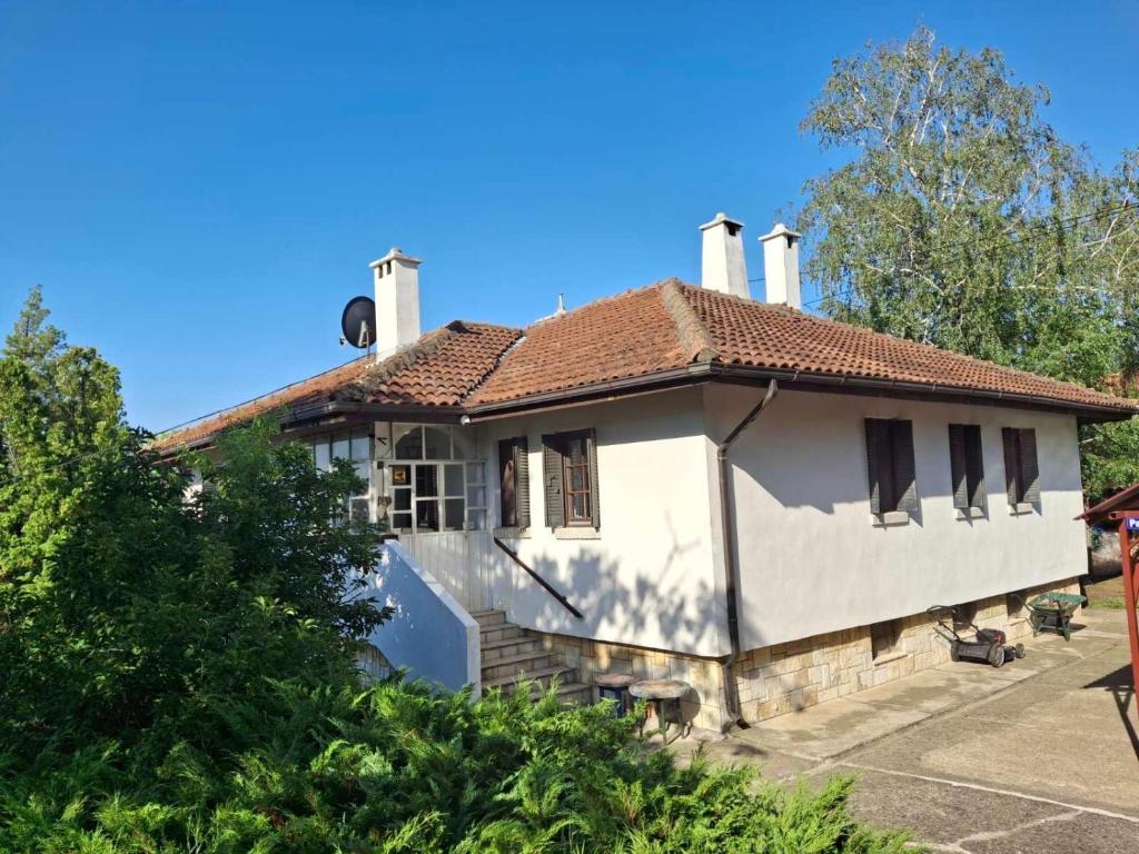 Apartment - Garden view & Art Gallery - 1