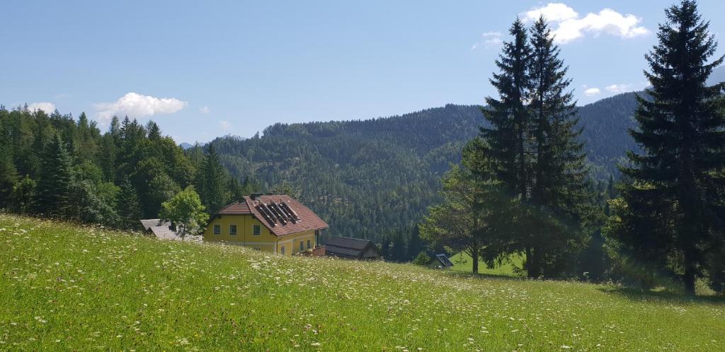 Bauernchalet Orainza - 5
