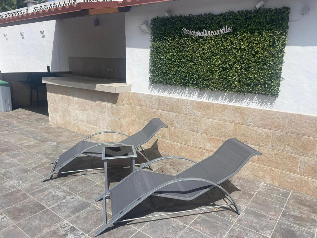 Finca Artiles - 4