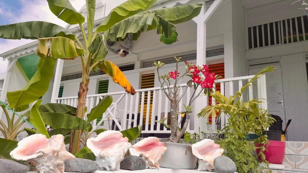 Chez Valé, Le Moule