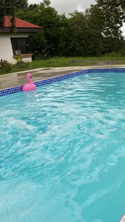 daBene - Bed & Breakfast, Alajuela