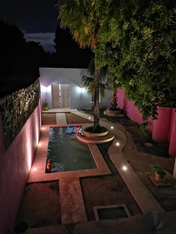 Casa de los Gatos - 5