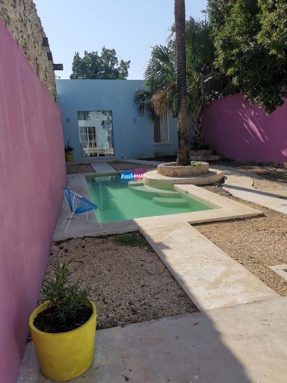 Casa de los Gatos - 4