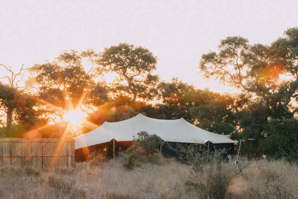 Kruger Untamed - Satara Plains Camp, Die Brug
