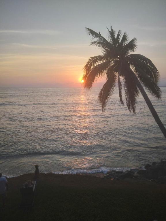 The Seaglass Villas Bingin