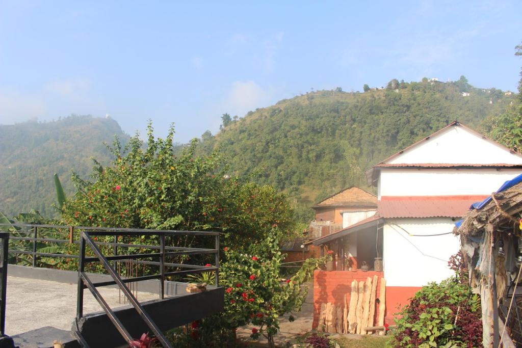 Siddhartha Garden Ayurveda Bed and Breakfast photo