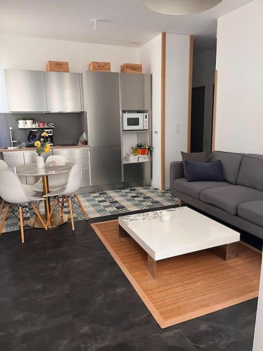 Chaleureux, Cosy calme, spacieux et centrale, Toulouse