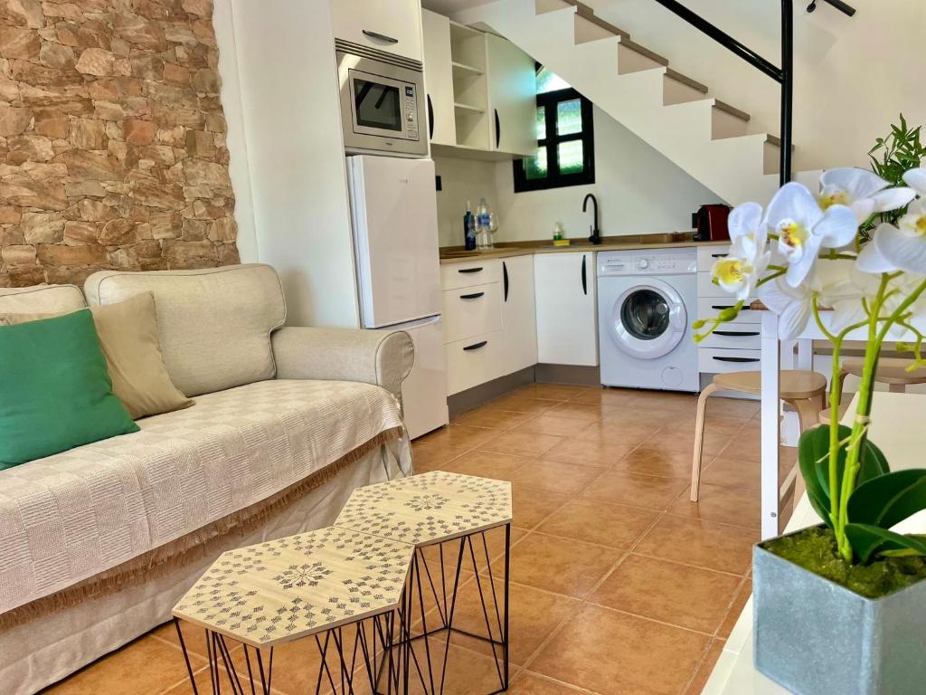 Dunaflor Verde 8 by SunHousesCanarias - 4