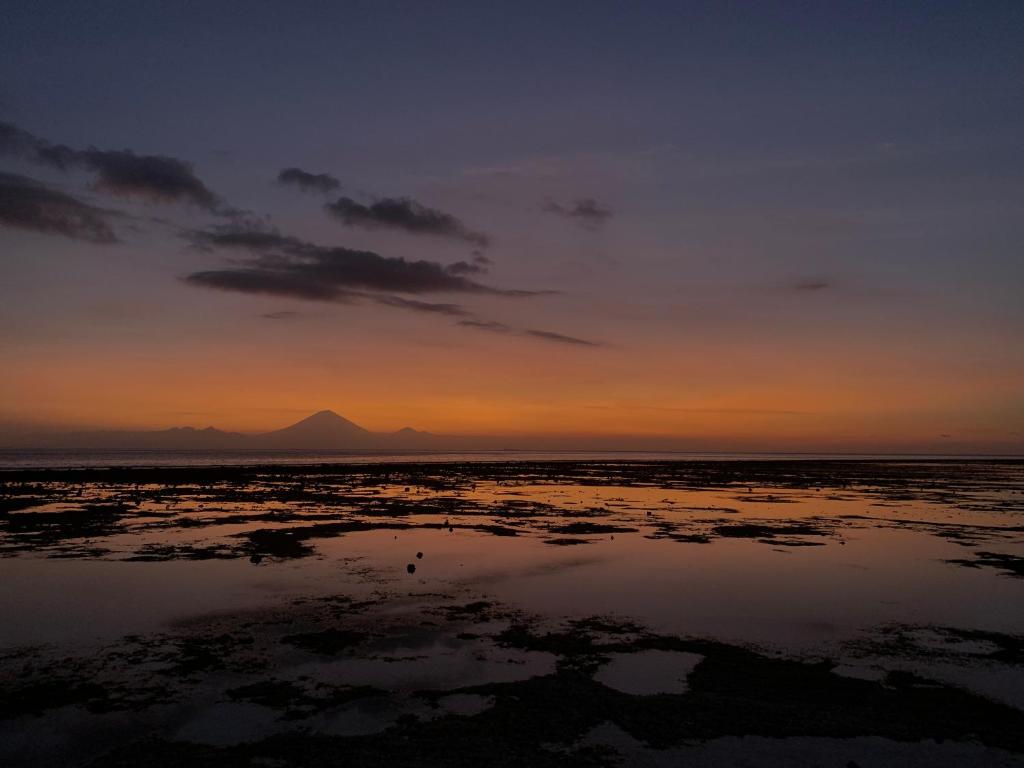 Gili Davidoff Skyline