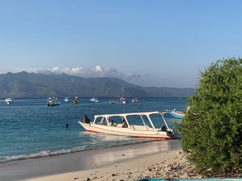 Gili Davidoff Skyline