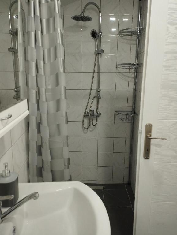 Apartmani Mladenovic - 4