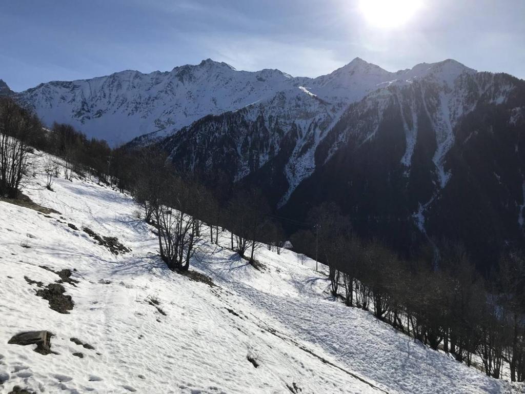 Charmant studio 4 pers, balcon Sud, proche pistes - Plan Peisey - 4